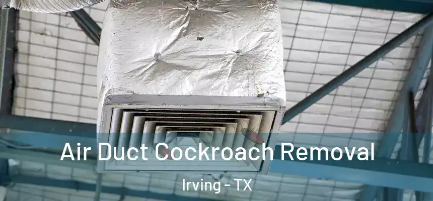 Air Duct Cockroach Removal Irving - TX