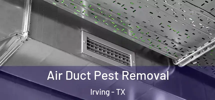 Air Duct Pest Removal Irving - TX