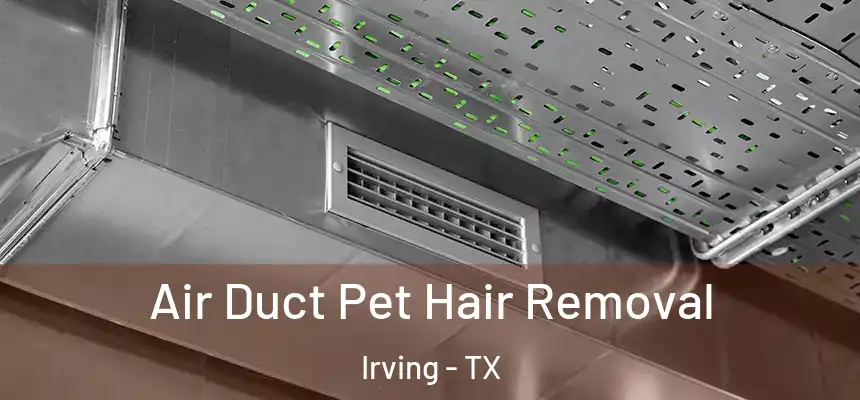 Air Duct Pet Hair Removal Irving - TX