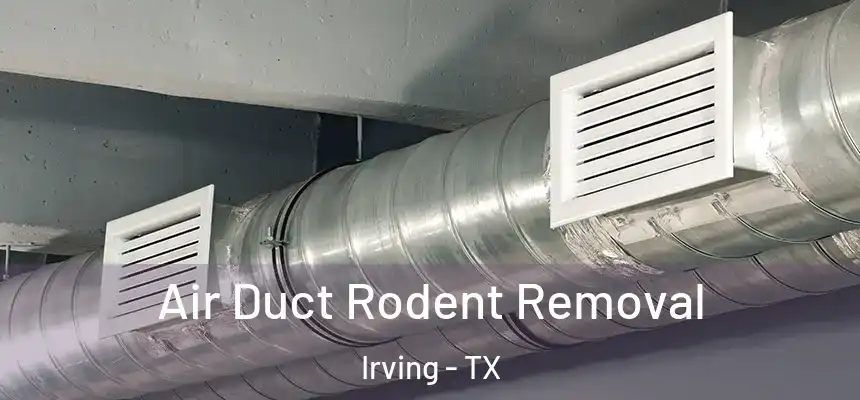 Air Duct Rodent Removal Irving - TX