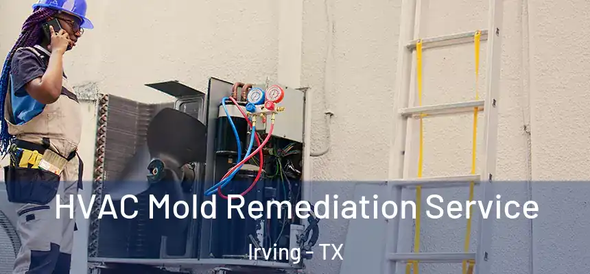 HVAC Mold Remediation Service Irving - TX