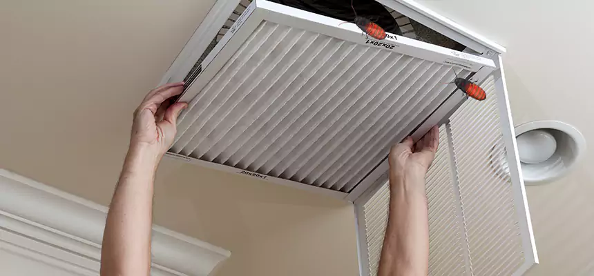 Preventive Cockroach-Proofing for Ducts in Irving