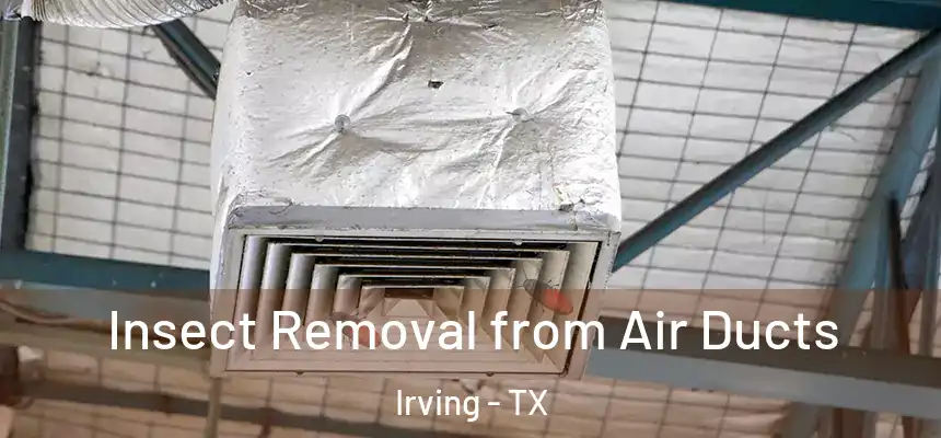 Insect Removal from Air Ducts Irving - TX
