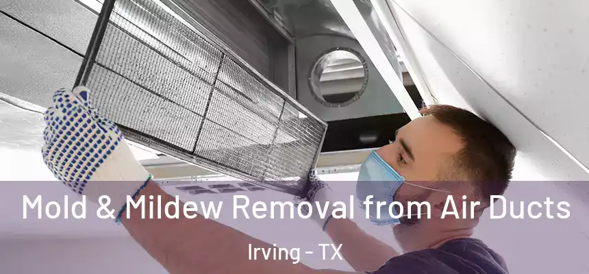 Mold & Mildew Removal from Air Ducts Irving - TX