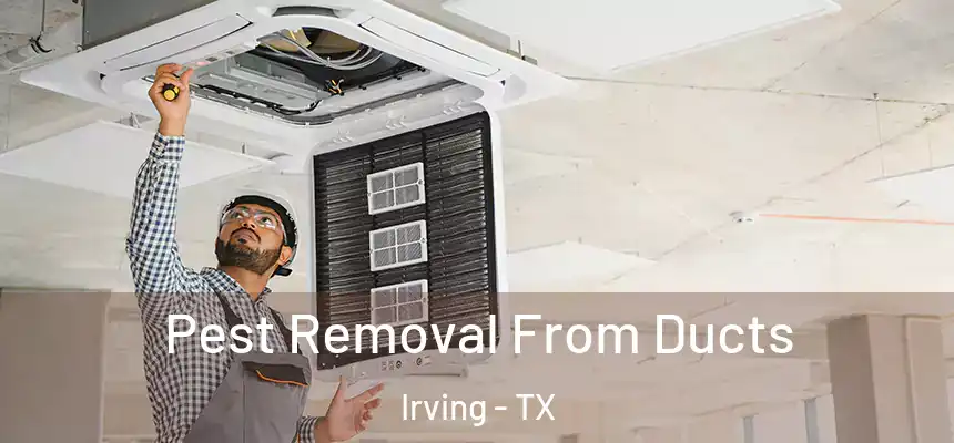 Pest Removal From Ducts Irving - TX
