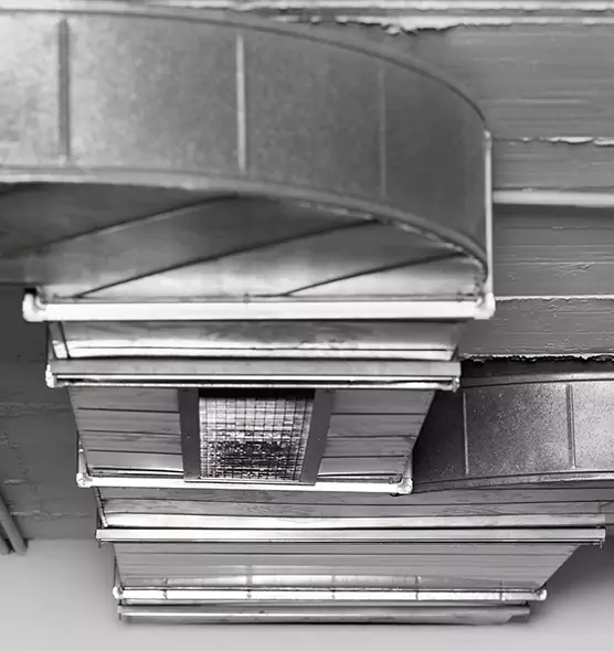 Professional Air Duct Pest Removal in Irving, TX