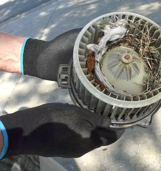 About Air Duct Rat Removal in Irving, TX