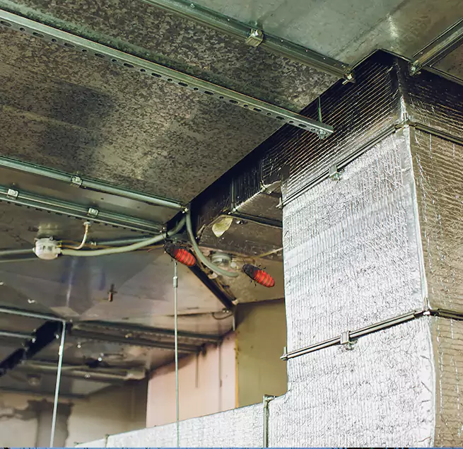 Why Homeowners & Businesses Trust Us in Irving, TX?