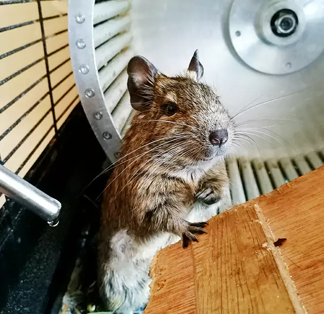 Why Homeowners & Businesses Trust Us Irving, TX