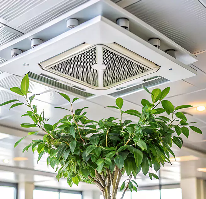 Why Homeowners & Businesses Trust Us in Irving, TX?