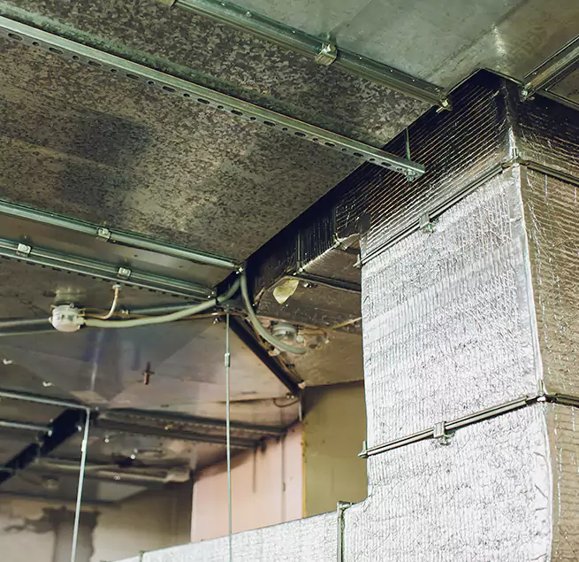 Why Homeowners & Businesses Trust Us in Irving, TX?