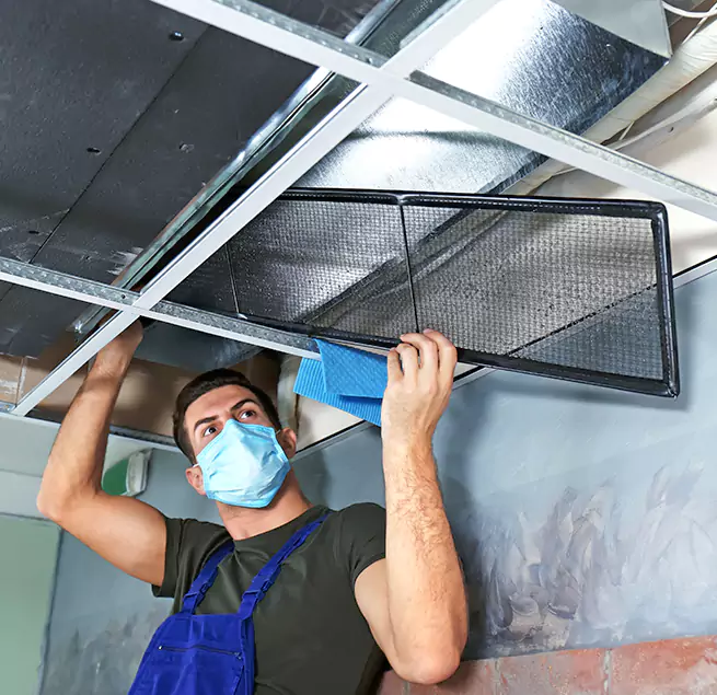 Why Homeowners Businesses Trust Us  in Irving, TX?